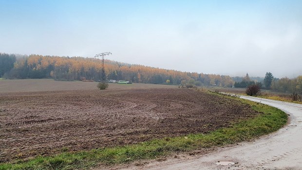 Grundstck fr Landwirtschaft Agrarland in Ilmenau Ilm-Kreis zum Kaufen