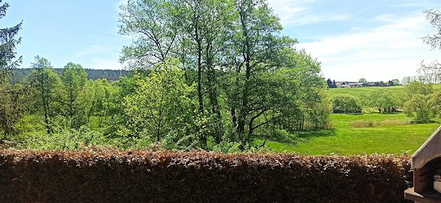 Ausblick vom Gartenhaus